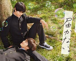 seo的岗位叫什么